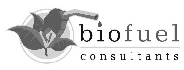 BIOFUEL CONSULTANTS