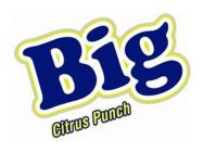 BIG CITRUS PUNCH