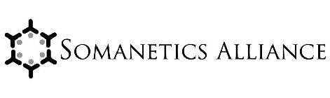 SOMANETICS ALLIANCE