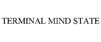 TERMINAL MIND STATE