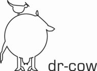 DR-COW