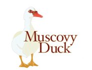 MUSCOVY DUCK