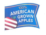 100% AMERICAN GROWN APPLES