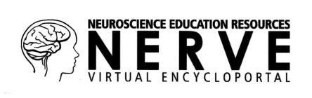 NERVE NEUROSCIENCE EDUCATION RESOURCES VIRTUAL ENCYCLOPORTAL