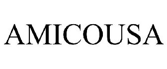 AMICOUSA