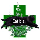 CATIBIS