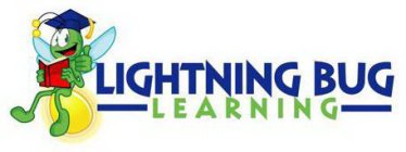 LIGHTNING BUG LEARNING
