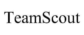 TEAMSCOUT