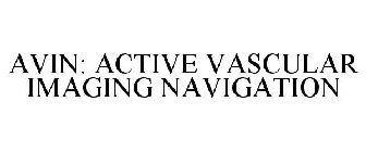 AVIN: ACTIVE VASCULAR IMAGING NAVIGATION