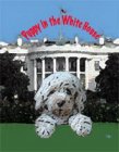 PUPPY IN THE WHITE HOUSE