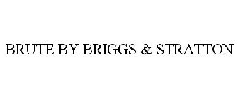 BRUTE BY BRIGGS & STRATTON