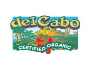 DEL CABO CERTIFIED ORGANIC