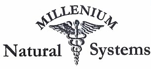 MILLENIUM NATURAL SYSTEMS