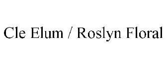 CLE ELUM / ROSLYN FLORAL