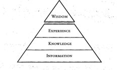 WISDOM EXPERIENCE KNOWLEDGE INFORMATION