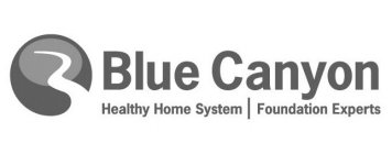 BLUE CANYON HEALTHY HOME SYSTEM FOUNDATION EXPERTS