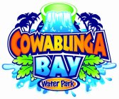 COWABUNGA BAY WATER PARK