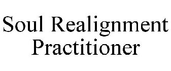 SOUL REALIGNMENT PRACTITIONER