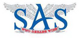SAS WHO DREAMS WINS
