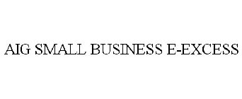 AIG SMALL BUSINESS E-EXCESS