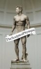 THE SCULPTED PHYSIQUE