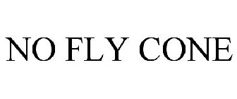 NO FLY CONE