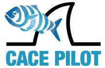 CACE PILOT