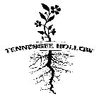 TENNESSEE HOLLOW