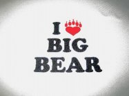 I BIG BEAR