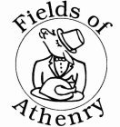 FIELDS OF ATHENRY