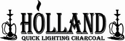 HOLLAND QUICK LIGHTING CHARCOAL