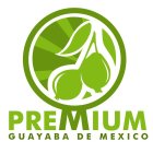 PREMIUM GUAYABA DE MEXICO