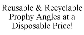 REUSABLE & RECYCLABLE PROPHY ANGLES AT A DISPOSABLE PRICE!