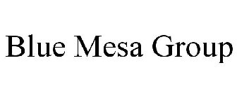 BLUE MESA GROUP