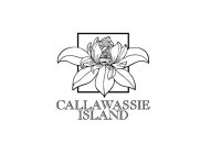 CALLAWASSIE ISLAND