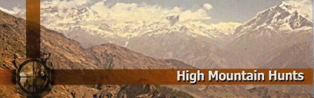 HIGH MOUNTAIN HUNTS