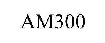 AM300