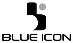 BLUE ICON BI