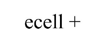 ECELL +