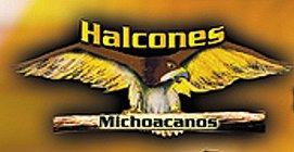 HALCONES MICHOACANOS