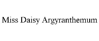 MISS DAISY ARGYRANTHEMUM
