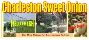 CHARLESTON SWEET ONION FIELD FRESH SUPER SWEET THE BEST ONION FOR LOWCOUNTRY CUISINE