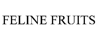 FELINE FRUITS