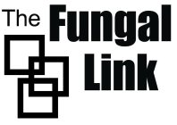 THE FUNGAL LINK
