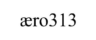 ÆRO313
