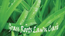 GRASS ROOTS LAWN CARE