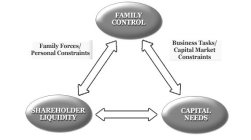 FAMILY CONTROL SHAREHOLDER LIQUIDITY CAPITAL NEEDS FAMILY FORCES/PERSONAL CONSTRAINTS BUSINESS TASKS/CAPITAL MARKET CONSTRAINTS