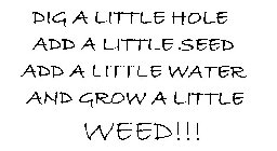 DIG A LITTLE HOLE ADD A LITTLE SEED ADD A LITTLE WATER AND GROW A LITTLE WEED!!!