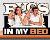 BUGS IN MY BED