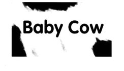 BABY COW